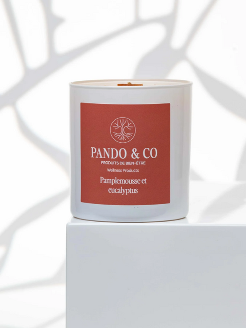 Bougie soya pamplemousse eucalyptus | Pando & co | Espace local