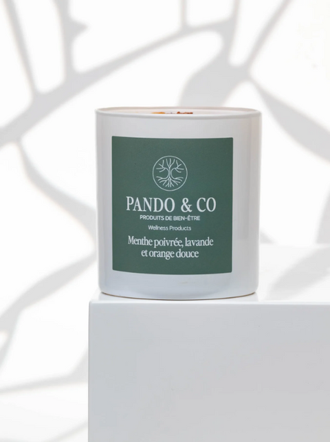 Bougie soya menthe poivrée, lavande et orage douce | Pando & co | Espace local
