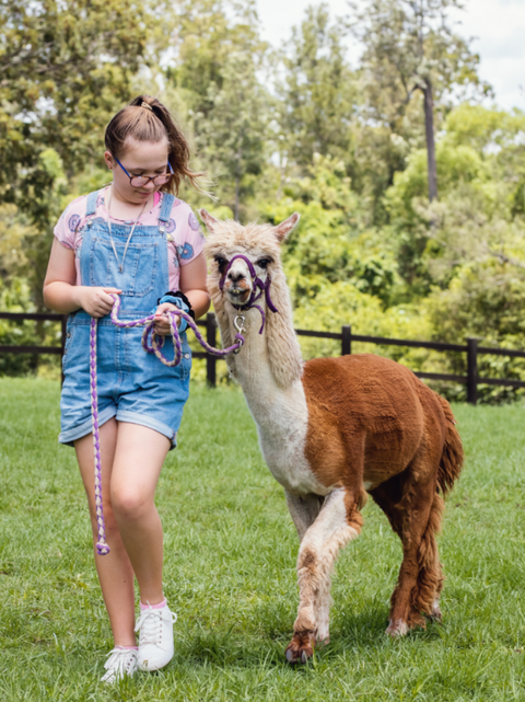 Coffrets Prestige | Moment en famille