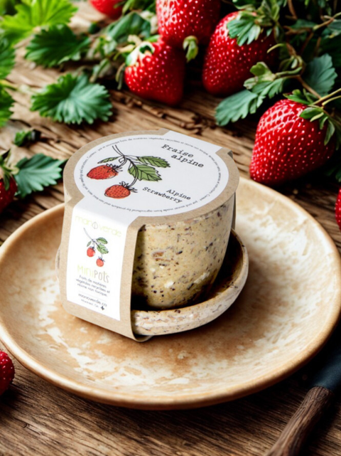 Bambou Minipot Fraise alpine | Manoverde