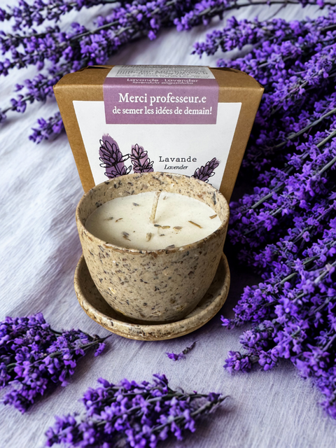 Funky Grows | Lavender