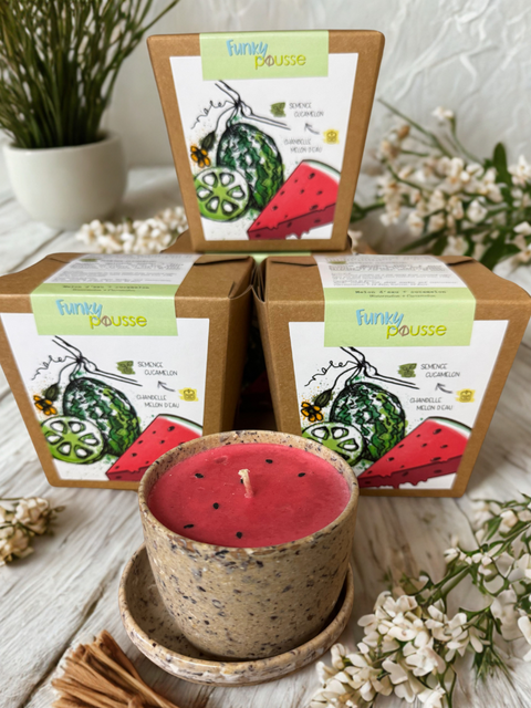Funky grows | Cucamelon