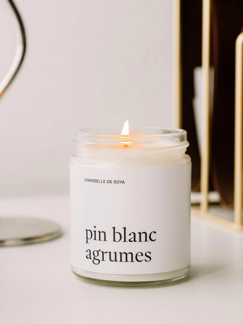 SOY CANDLE | White Pine Citrus