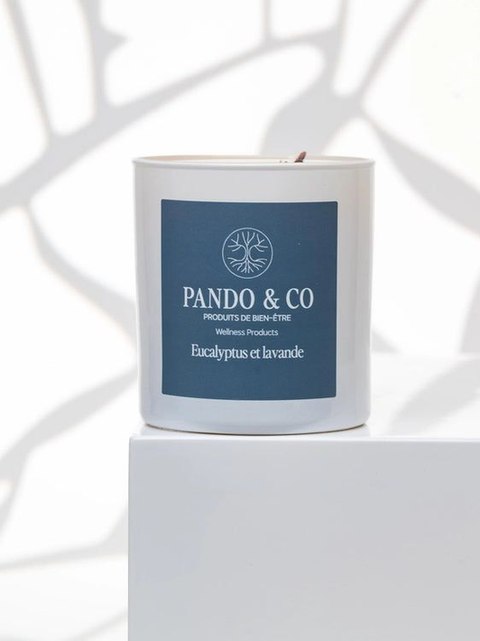 CANDLE | EUCALYPTUS & LAVENDER
