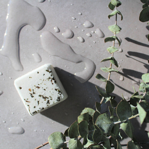 Shower pebble | Eucalyptus