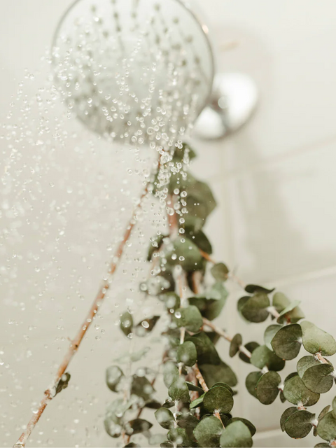 Bouquet d'eucalyptus séché | Ambiance spa | Espace local