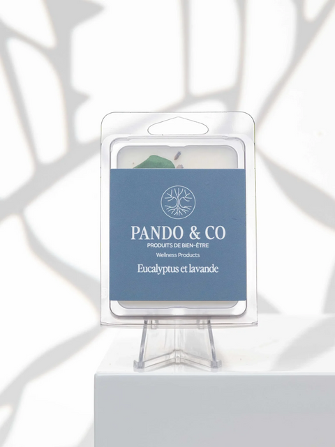 Cubes de cire eucalyptus lavande | Pando & co | Espace local