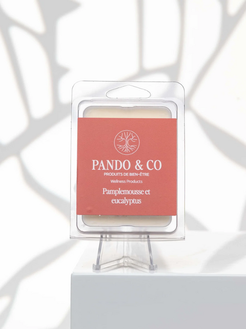 Cubes de cire eucalyptus pamplemousse | Pando & co | Espace local