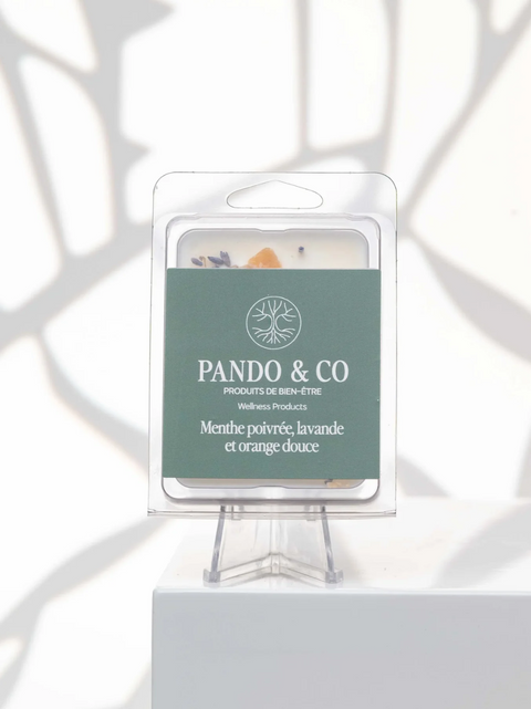 Cubes de cire menthe poivrée lavande orange | Pando & co | Espace local