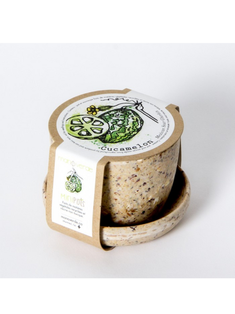 Minipots cucamelon | Manoverde | Espace local