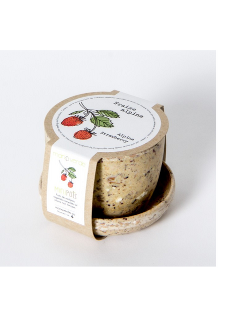 Minipots fraise alpine | Manoverde | Espace local