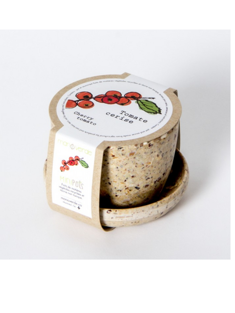 Minipots tomates cerises | Manoverde | Espace local
