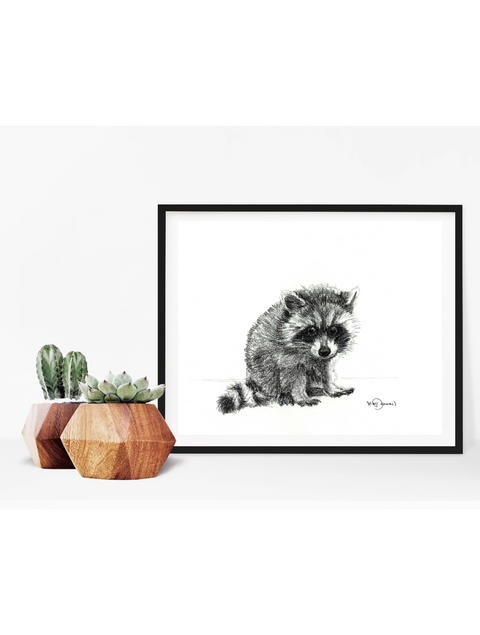 Poster | Racoon