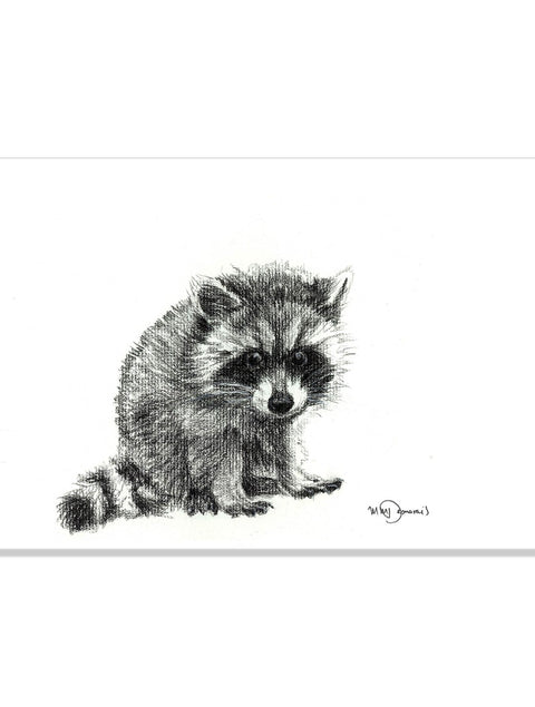 Poster | Racoon