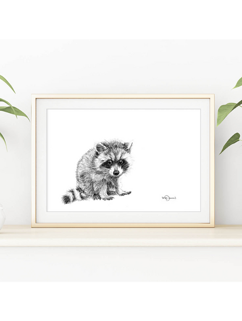 Poster | Racoon