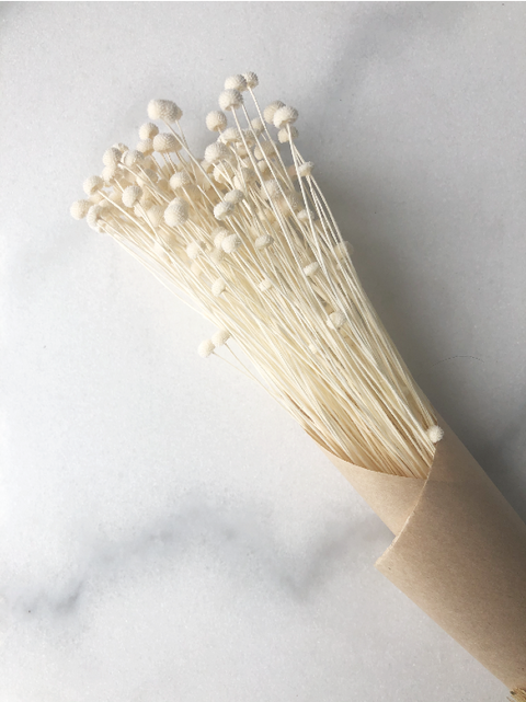 Bouquet pinky button blanc | Fleur expert | Espace local