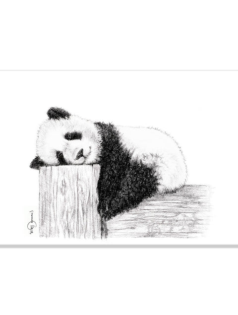Poster | Panda