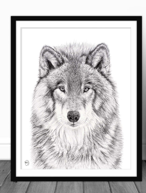Poster | The wolf