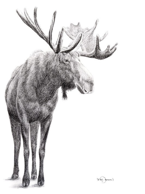 Poster | Moose standing