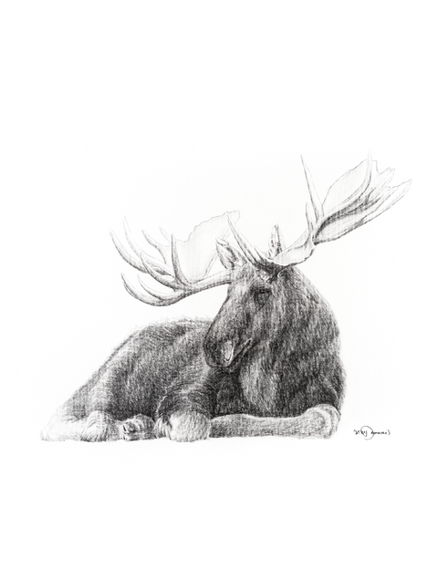 Poster | Moose