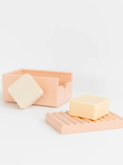 2-in-1 carrying case and soap dish