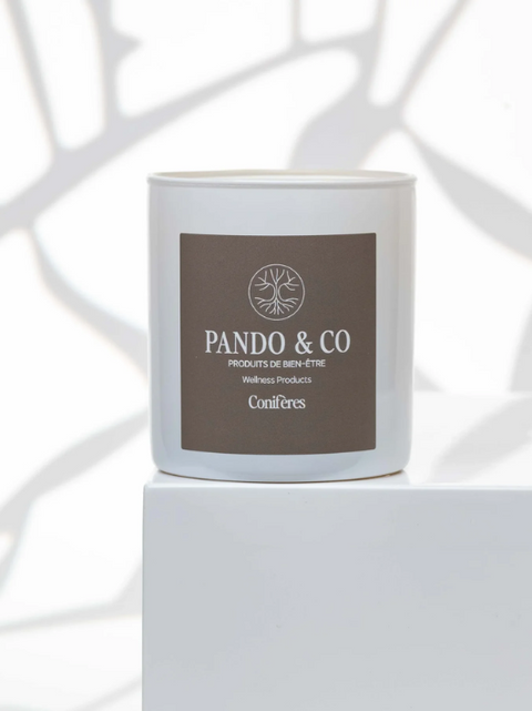 Bougie soya conifères | Pando & co | Espace local