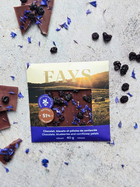Chocolat | VEGAN aux bleuets