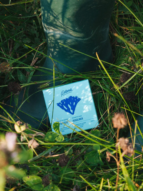 Shampoing solide | LES PÉTARDS