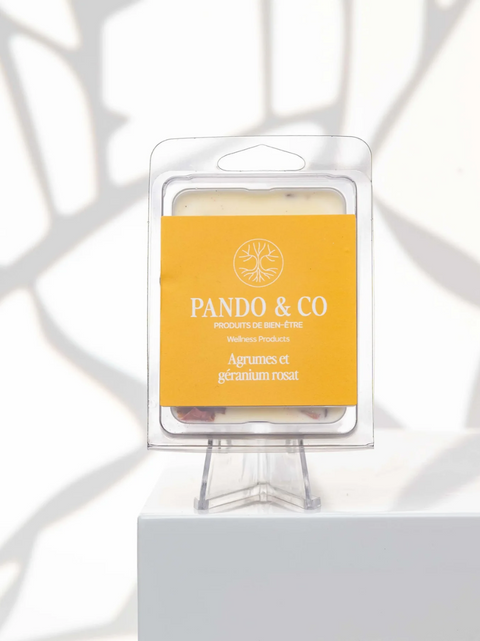 Cubes de cire agrumes géranium rosat | Pando & co | Espace local