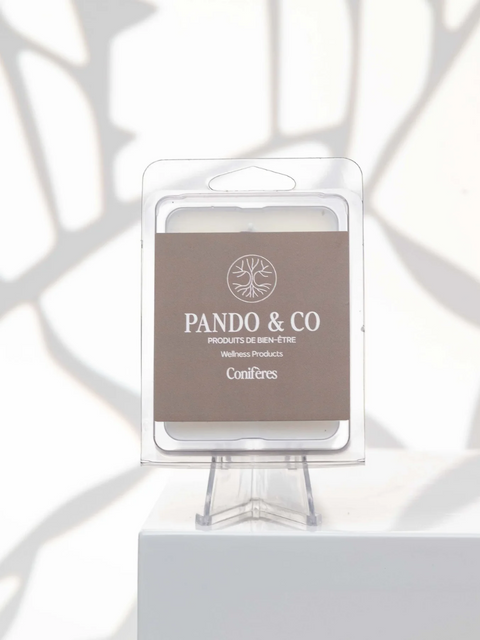 Cubes de cire conifères | Pando & co | Espace local