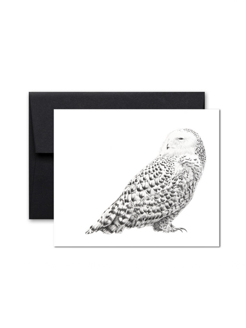 Snowy Owl | Wish card