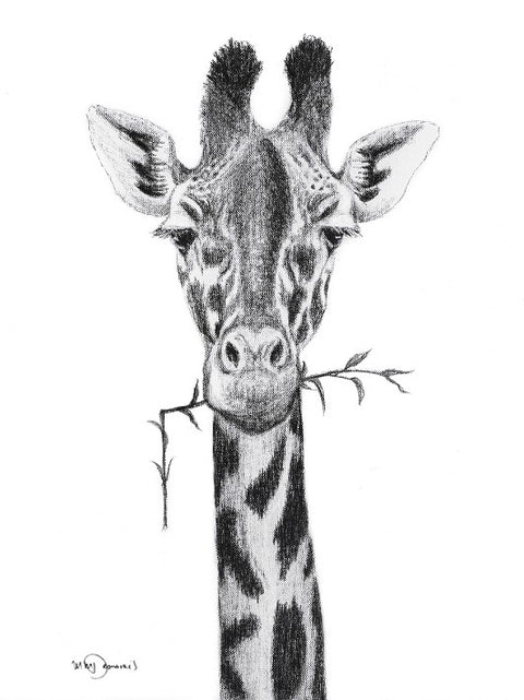 nid d'atelier-affiche girafe-espacelocal.co