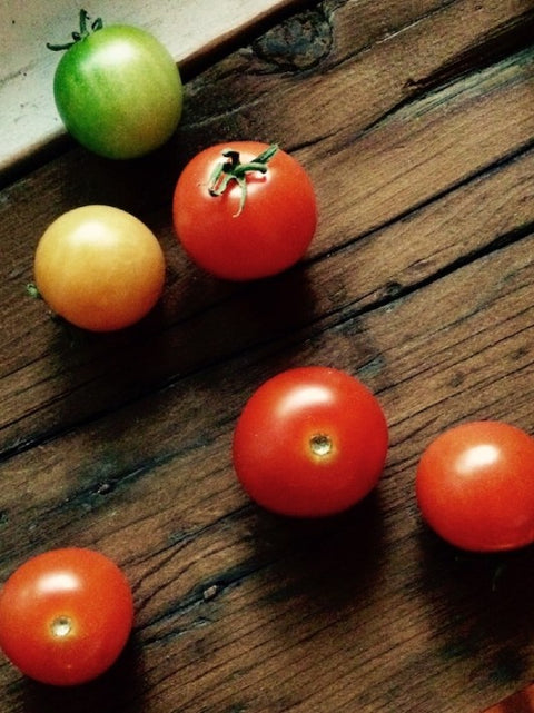 Jardin urbain | Tomate cerise | Minipot | Manoverde | Espace local