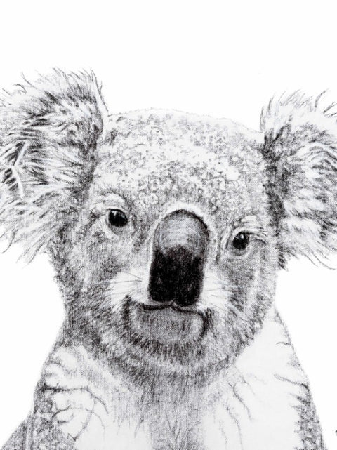 nid d'atelier-affiche koala-espacelocal.co