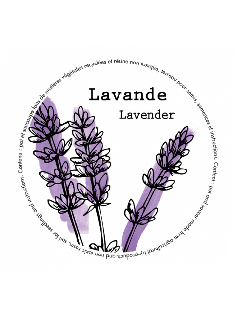 Bamboo Minipot Lavender| Manoverde