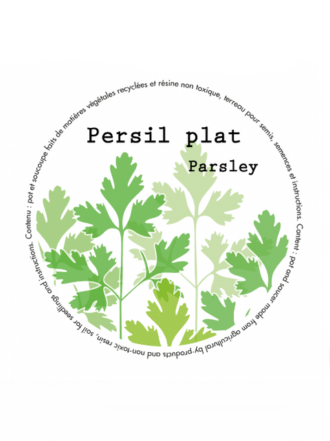Bambou Minipot Persil plat | Manoverde