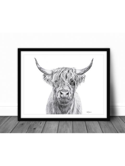 Affiche | Vache Highland